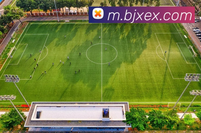 对战数据统计